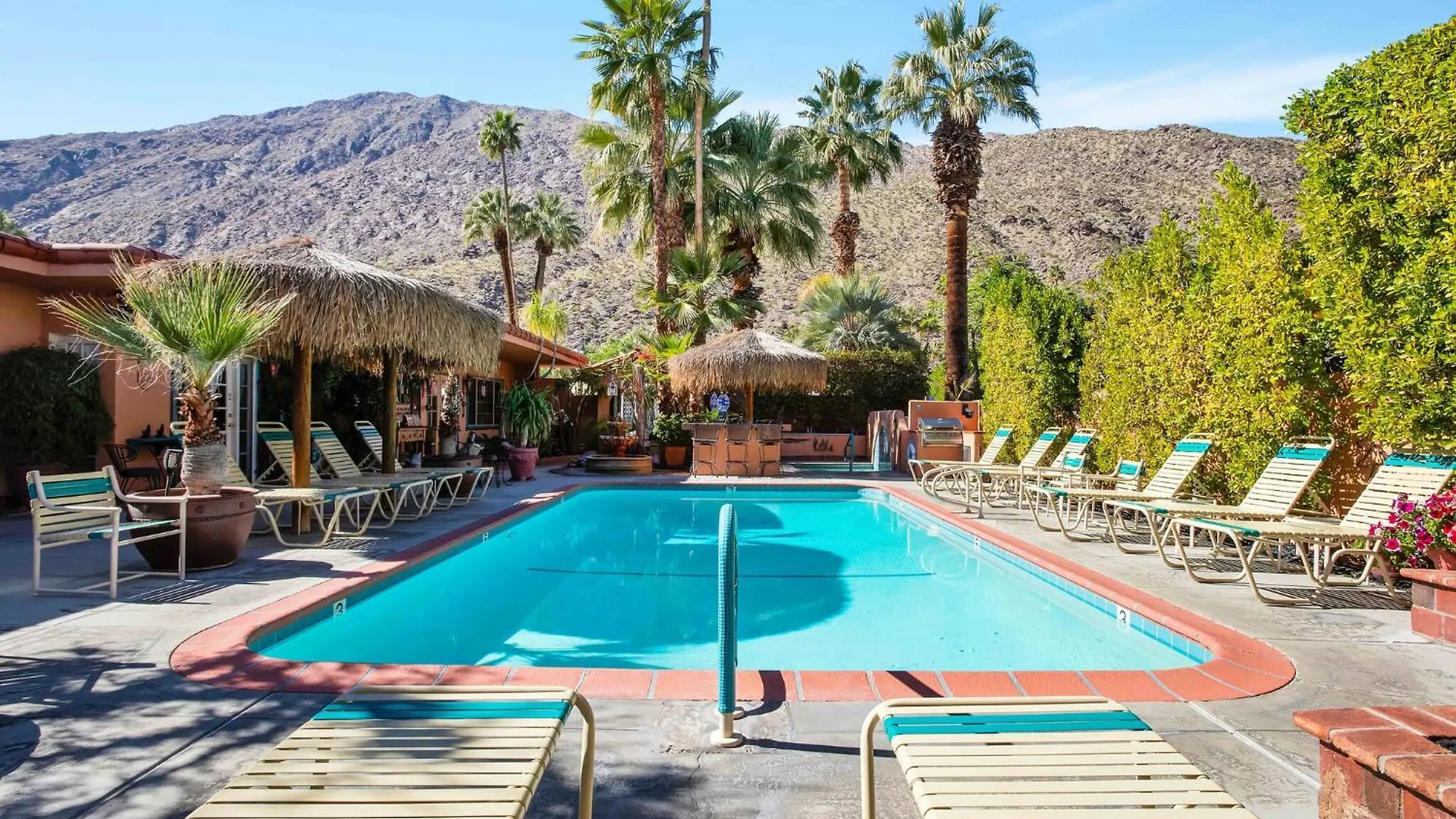 Coyote Inn - 21 And Over Palm Springs